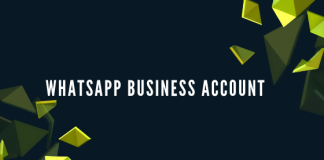 WhatsApp-Business-Account