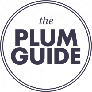 plum logo blue - London tech startups