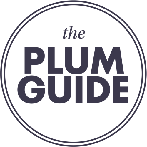 plum logo blue - London tech startups