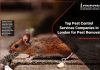 top-pest-control-services-companies-in-london-for-pest-removal