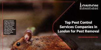 top-pest-control-services-companies-in-london-for-pest-removal