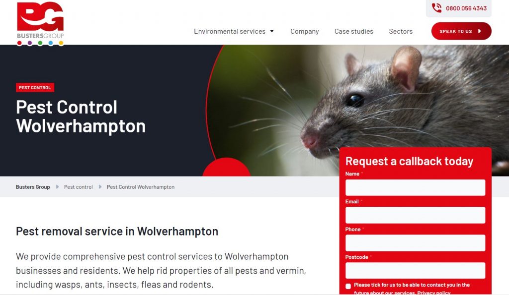 Top 13 Pest Control Services Companies in London London Business News