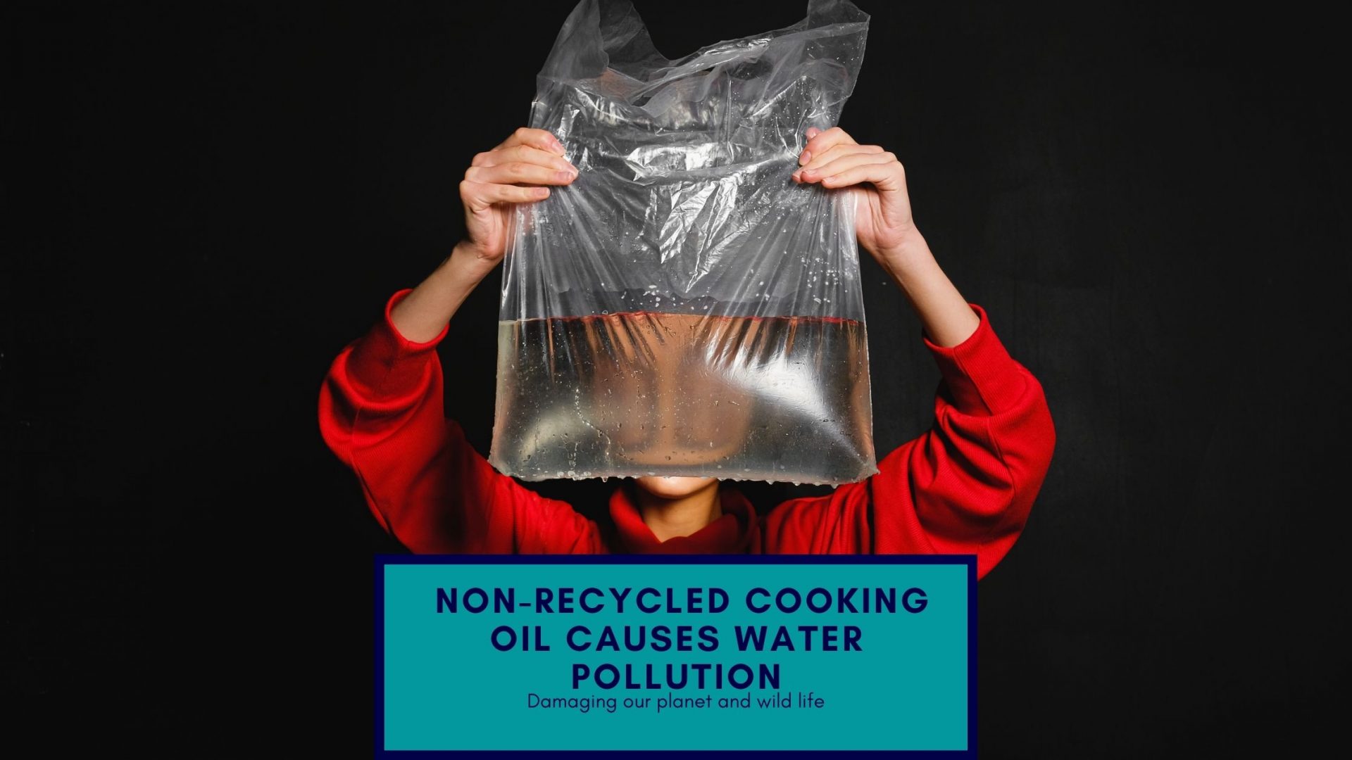 5 Reasons For Restaurants To Recycle Cooking Oil London Business News