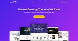 business-wordpress-theme-astra-for-freelancer-websites