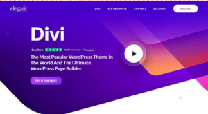 Divi-wordpress-theme-for-customizable-personal-blog-site