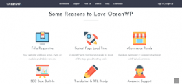lightweight-and-easy-to-use-ocean-wordpress-theme-for-business-website-beginners