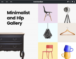 best-wordpress-theme-for-online-shops-and-ecommerce-websites