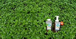 best-cbd-skin-care-products-in-london