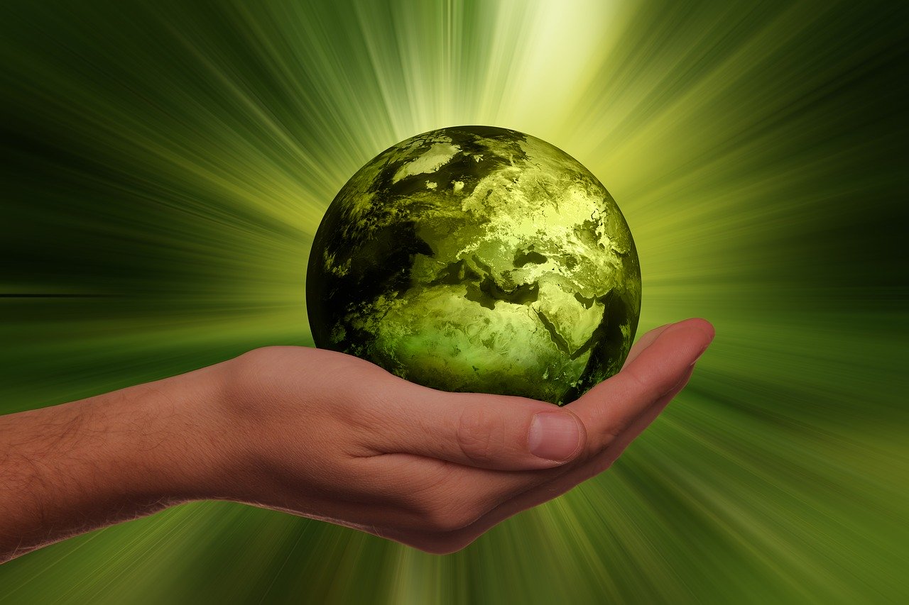 best-green-living-and-eco-friendly-home-decor-ideas-and-trends