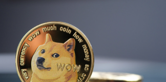 What is Dogecoin
