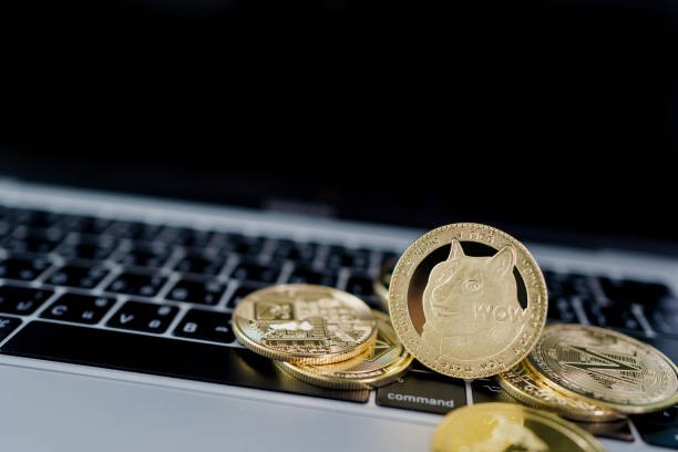 framgång-av-Dogecoin-Cryptocurrency