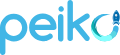 peiko-best-it-support-company-london