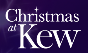 christmas-at-kew